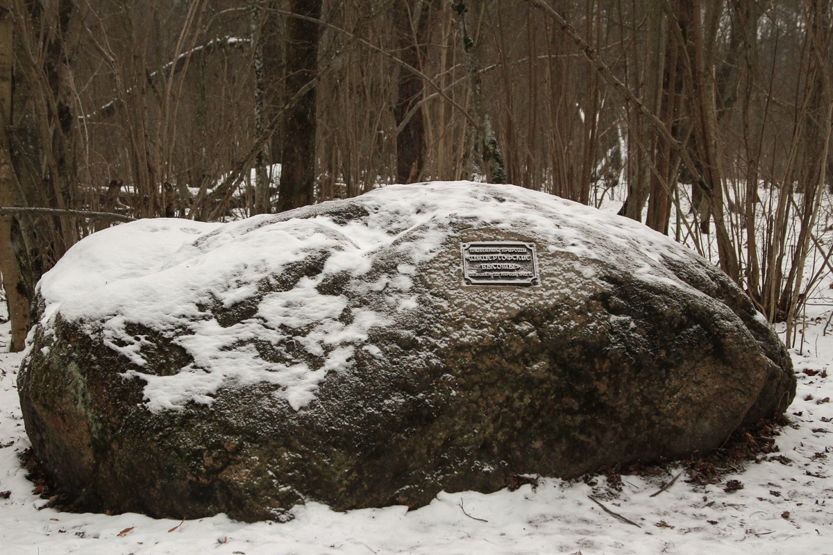 Камень Дудергофские высоты