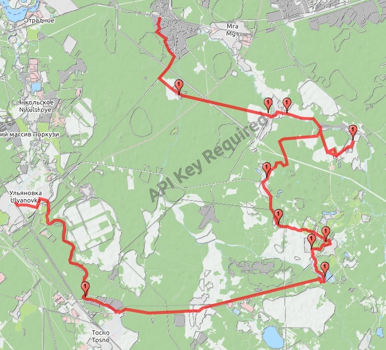 Велосипедный маршрут от Горы через Сологубовку - Шапки в Саблино