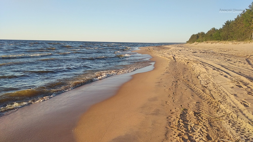 Пляж Ладога Чёрное