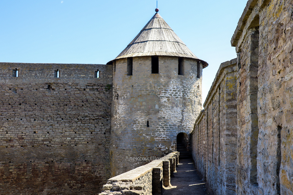 Провиантская башня крепости Ивангород