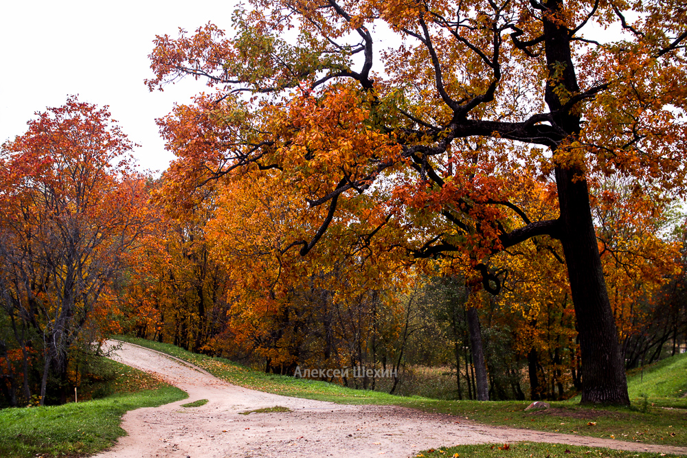 Осенний пейзаж Приоратского парка