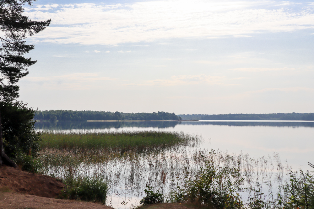 Пейзаж на озере Заозерье Новгородской области