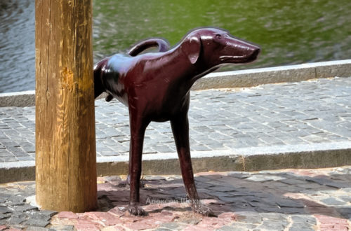 Памятник писающей собаке в Вологде у Красного моста